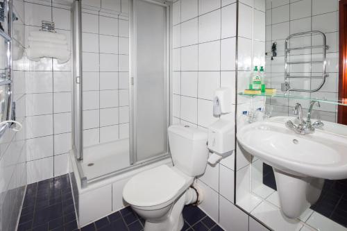 帕兰加陶拉斯中心酒店的一间带卫生间和水槽的浴室