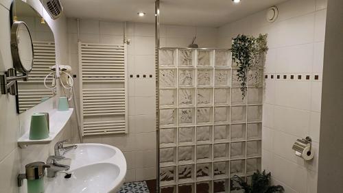 法尔肯堡Vakantiewoning Valkenburg的白色的浴室设有水槽和淋浴。