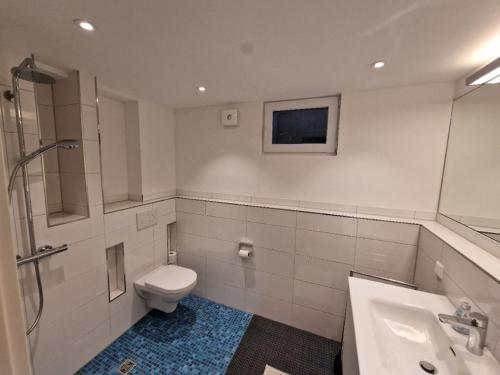 巴登韦勒Bellavista的浴室配有卫生间、盥洗盆和淋浴。