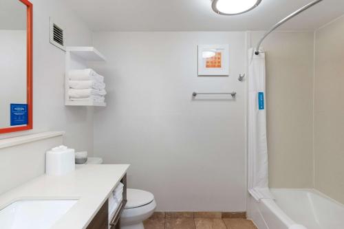 岩石丘石山汉普顿酒店的带淋浴和卫生间的白色浴室