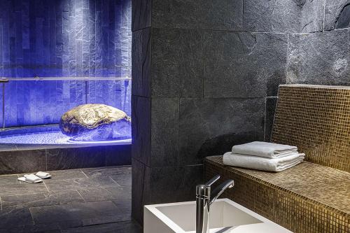 梅森Dorint Parkhotel Meißen的带浴缸的浴室,水中备有海龟