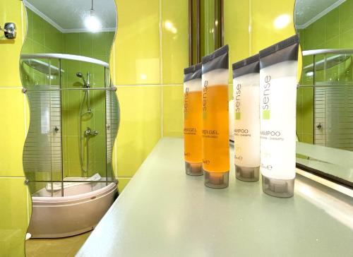 布什泰尼Mountain Escape Loft的浴室在柜台上放一排洗发水瓶子