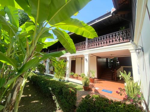 琅勃拉邦Luang Prabang Residence & Travel的植物之家的庭院