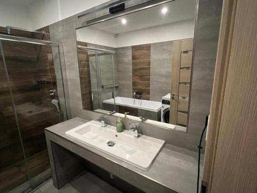 Frýdek-MístekKrásný pokoj s vlastním vstupem的一间带水槽和大镜子的浴室