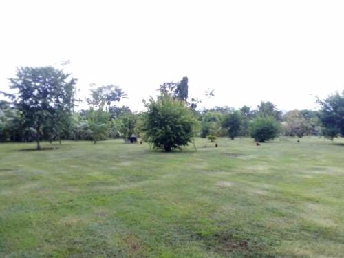 库鲁Maison de campagne的远处有树木的大草地