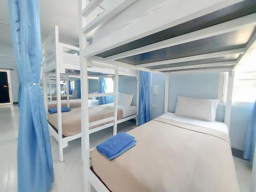 考索Khao Sok Backpacker Hostel的一间卧室配有两张双层床和蓝色窗帘