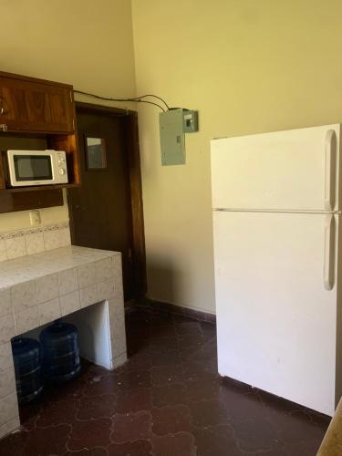 科潘玛雅遗址Stella Hostel Copán的厨房配有白色冰箱和微波炉
