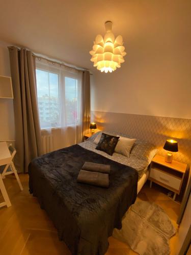 华沙ClickTheFlat Miła Center Apart Rooms的一间卧室配有一张大床和一个吊灯。