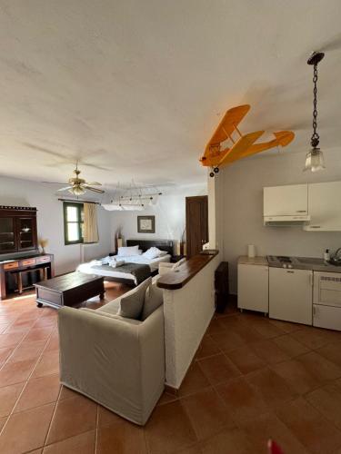 卡拉维塔Muntenia Inn Apartments and Suites的一个带床和厨房的大客厅