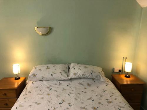 博利厄Double Room in Character Cottage With Parking, Beaulieu, New Forest的一间卧室配有一张床、两个床头柜和两盏灯。