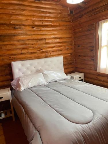 圣米格尔-德尔蒙特Rincón del Sur的木墙客房的一张床位