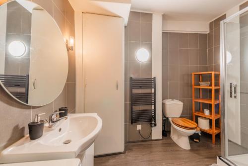 莫尔塞姆La FORGE Appartement chaleureux et Grands espaces的一间带水槽、卫生间和镜子的浴室