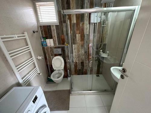 梅才特里Deniz One Bedroom Appartment的带淋浴、卫生间和盥洗盆的浴室