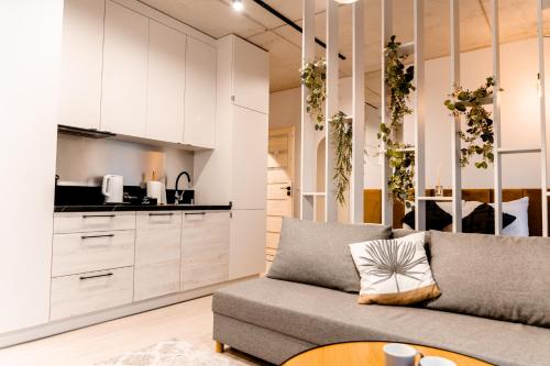 戈莱纽夫Hop & Lulu Premium Apartments的带沙发的客厅和厨房