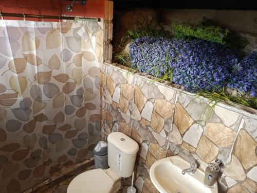 拉塔昆加Tiny Home Glamping en Latacunga的一间带卫生间和水槽的浴室