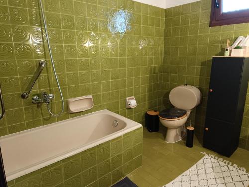 Árgos OrestikónCozy Garden House的绿色浴室设有浴缸和卫生间