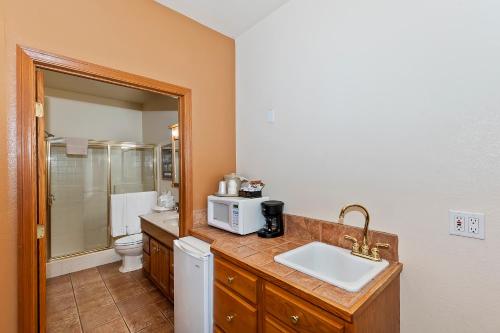 大熊湖罗宾汉度假酒店的一间带水槽和台面微波炉的浴室