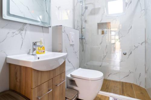 威尔帕扎Pavle's Oasis的浴室配有卫生间、盥洗盆和淋浴。