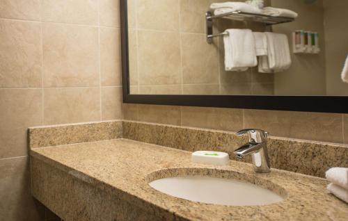 开普吉拉多开普吉拉多医疗中心梨树酒店的一间带水槽和镜子的浴室