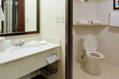 塞克斯顿塞克斯顿梨树德鲁酒店的一间带卫生间、水槽和镜子的浴室