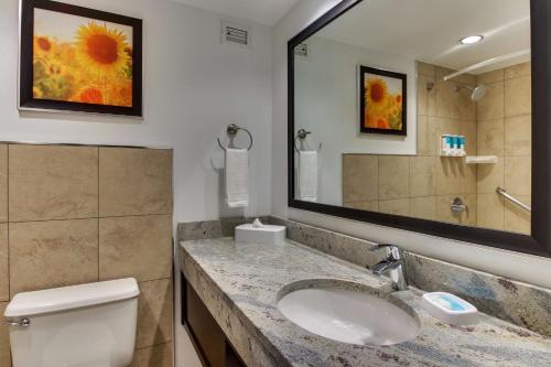 波普勒布拉夫Drury Inn & Suites Poplar Bluff的一间带水槽、卫生间和镜子的浴室