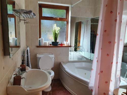 香农河畔卡里克Hillcrest House的带浴缸、卫生间和盥洗盆的浴室
