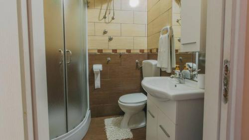 奥古林Apartments with a parking space Sabljak Selo, Gorski kotar - 21683的浴室配有卫生间、盥洗盆和淋浴。