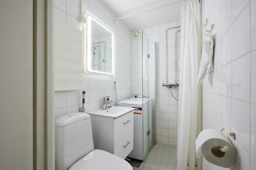 图尔库Jokiranta asunto, Free-park的白色的浴室设有卫生间和水槽。