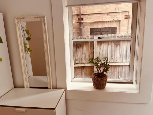 悉尼Little White Heaven - shared apartment的坐在窗台上,植有植物的盒子