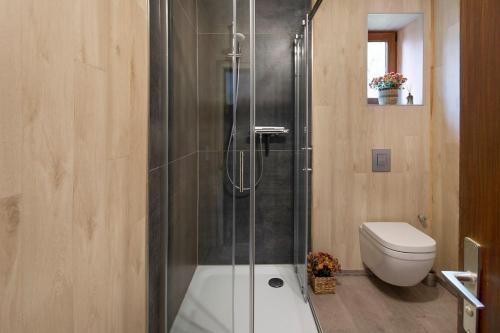 Vogelsberger Cosy Home-ganzes Haus的带淋浴和卫生间的浴室