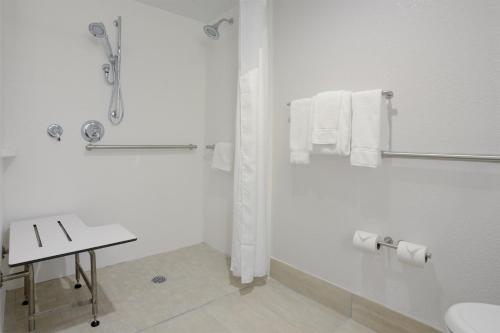纳什维尔纳什维尔机场智选假日酒店的带淋浴和盥洗盆的白色浴室
