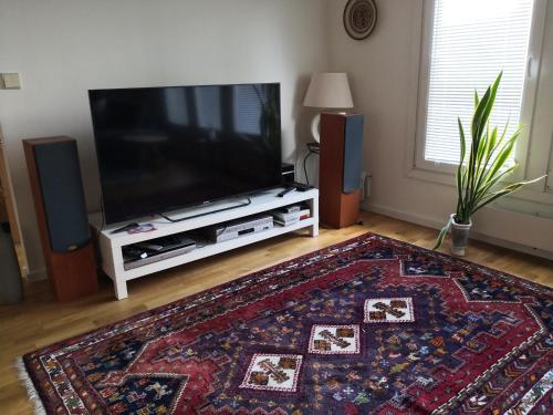 OxieCoolt Oxie的客厅配有平面电视和地毯。
