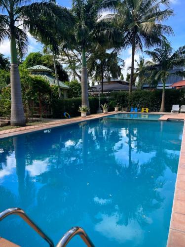 蒙巴萨NdonyaKwetu- Mtwapa的一个种有棕榈树的大型蓝色游泳池