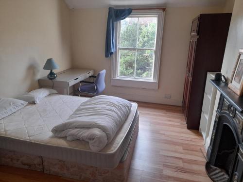 都柏林Annesley Park-Homestay AP的一间卧室配有一张床、一张书桌和一个窗户。