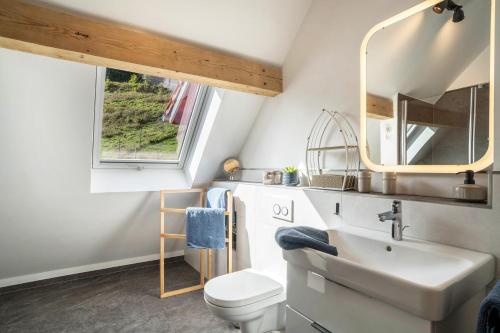 塞埃巴克Haus Wiesenruhe的一间带水槽、卫生间和镜子的浴室