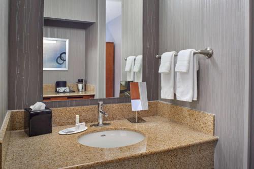伊甸草原明尼阿波利斯庭院伊甸草原酒店的一间带水槽和大镜子的浴室