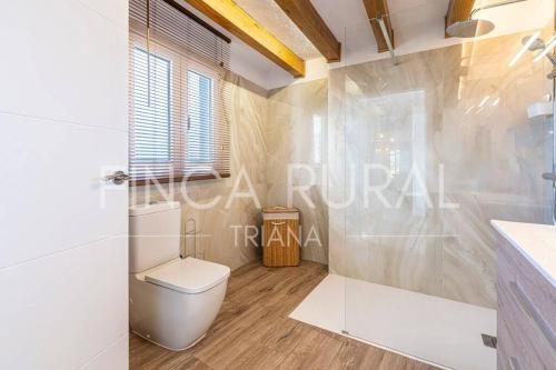 圣克鲁斯-德特内里费Finca Rural Triana的白色的浴室设有卫生间和淋浴。