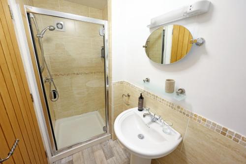 GlenoeSixty Six的带淋浴、盥洗盆和镜子的浴室