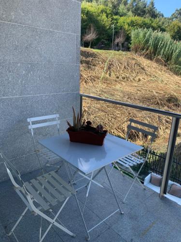 巴约讷Acogedor apartamento en Baiona的白色桌子、椅子和盆栽植物