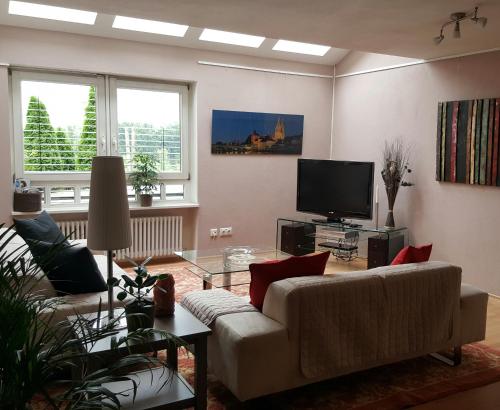 雷根斯堡西瑞度假公寓的带沙发和电视的客厅