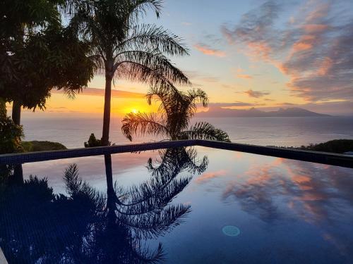 普纳奥亚AU SOLEIL COUCHANT的一座享有日落和棕榈树及大海美景的游泳池