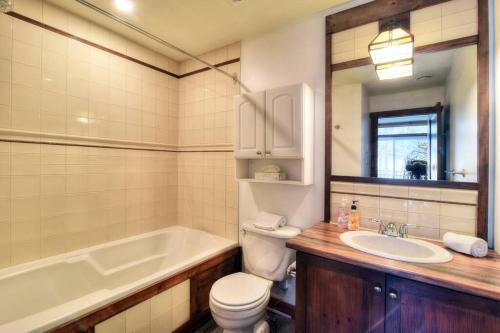 蒙特朗布朗Tremblant-Les-Eaux C1的浴室配有盥洗盆、卫生间和浴缸。