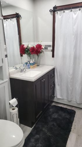 LynnCozy and Sweet home的一间带水槽、卫生间和镜子的浴室
