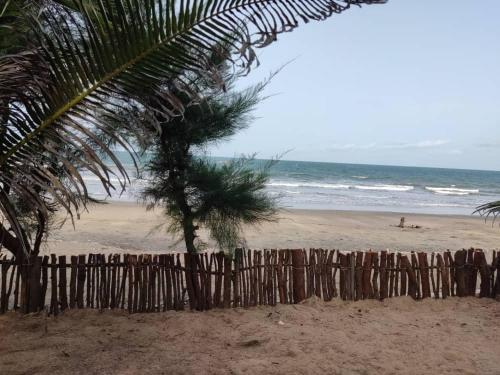 AbéméCampement Nyabinghi的棕榈树海滩上的木栅