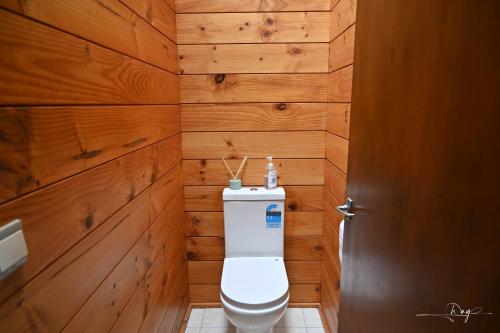 奥克兰Sunny Beachview Homestay Auckland的一间带卫生间和木墙的浴室