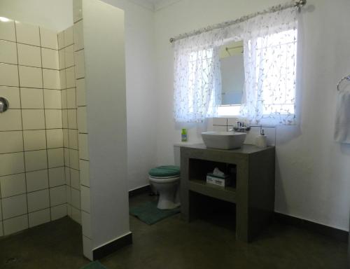 勒斯滕堡President Paul Kruger Guest Lodge的一间带水槽、卫生间和镜子的浴室