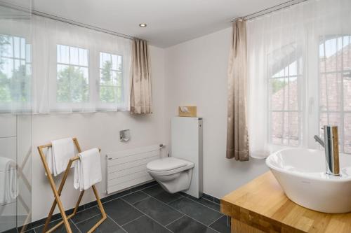 厄门玛特Boutique Hotel Moosegg的白色的浴室设有卫生间和水槽。
