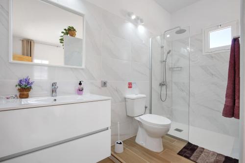 塔拉哈勒赫Apartamento El Naranjo con jacuzzi的白色的浴室设有卫生间和淋浴。