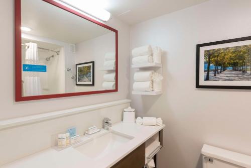 弗洛伦斯辛辛那提南机场汉普顿酒店的一间带水槽和镜子的浴室