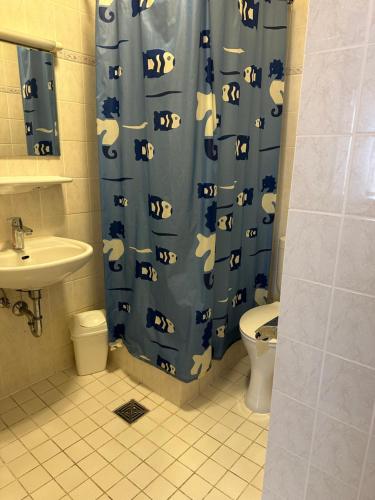 GrünheideDos Gauchos的浴室设有蓝色的淋浴帘、卫生间和水槽